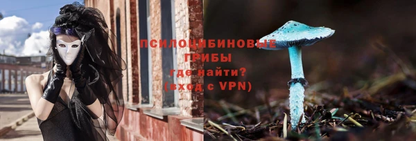 дживик Гусиноозёрск