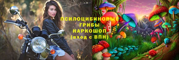 дживик Гусиноозёрск