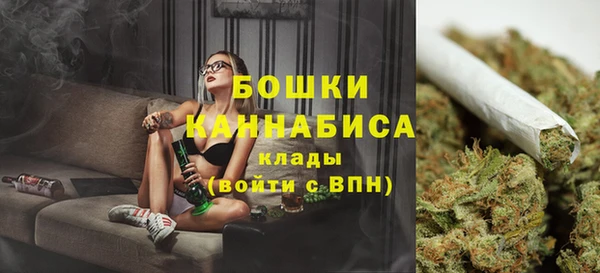 дживик Гусиноозёрск