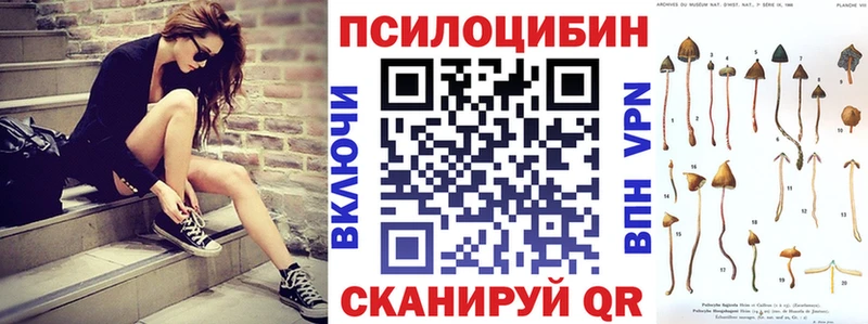 Псилоцибиновые грибы Psilocybe  Омутнинск 